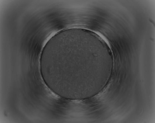 X0000092321341200710051250
