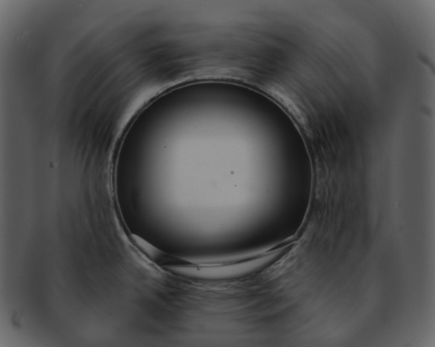 X0000092321342200710051250