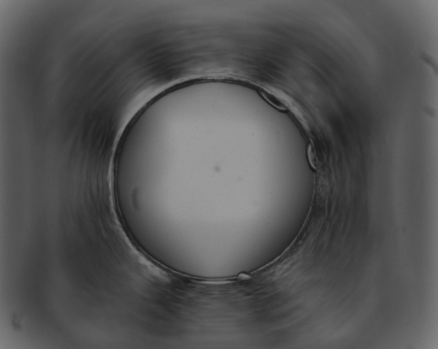 X0000092321343200710051250