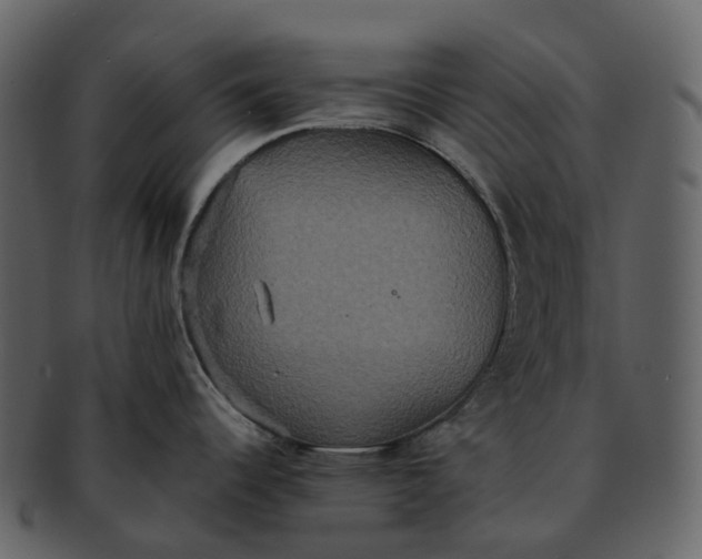 X0000092321344200710051250