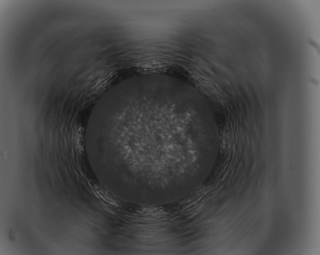 X0000092321346200710051249