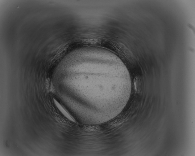 X0000092321347200710051249