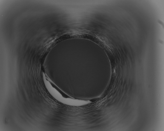 X0000092321348200710051249
