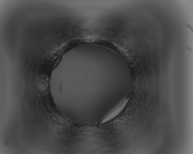 X0000092321349200710051249