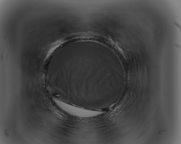 X0000092321352200710051249