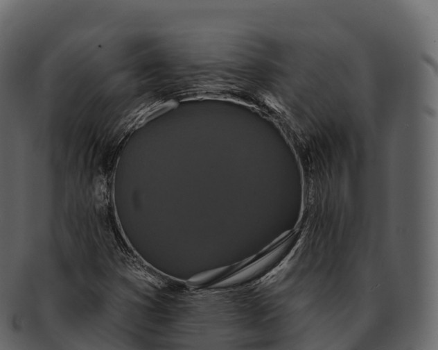 X0000092321353200710051249
