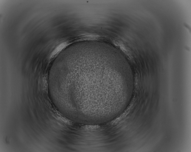 X0000092321354200710051249