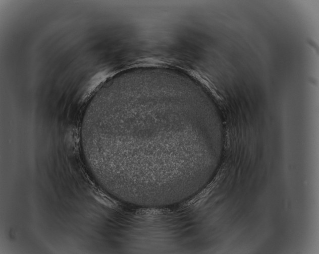 X0000092321355200710051249