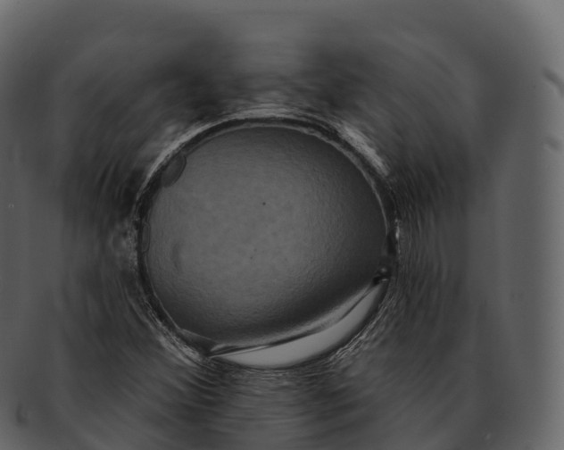 X0000092321356200710051249