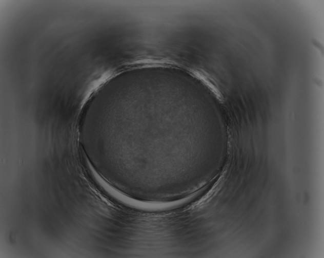 X0000092321357200710051249