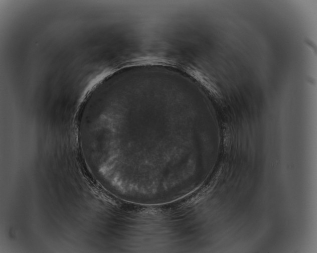 X0000092321358200710051249