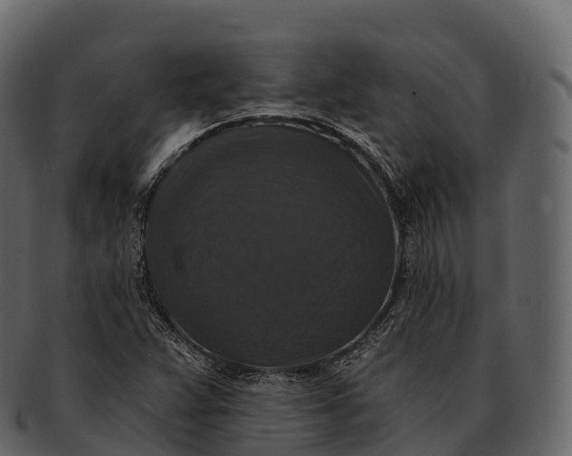 X0000092321359200710051249