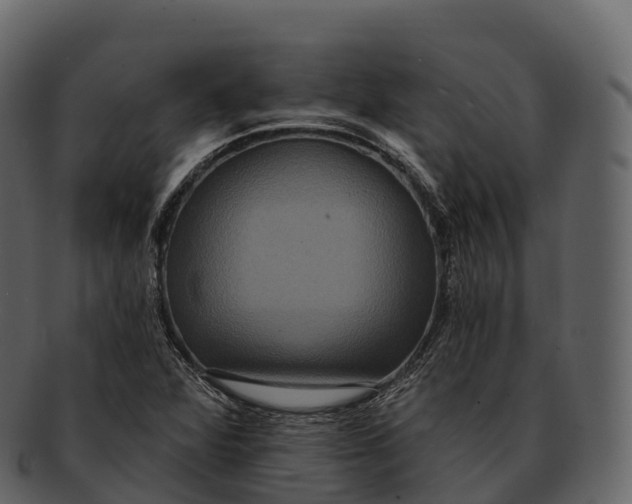 X0000092321360200710051249