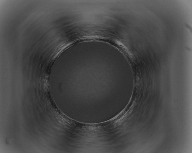X0000092321361200710051249