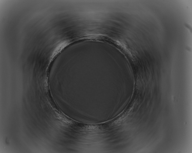 X0000092321362200710051249