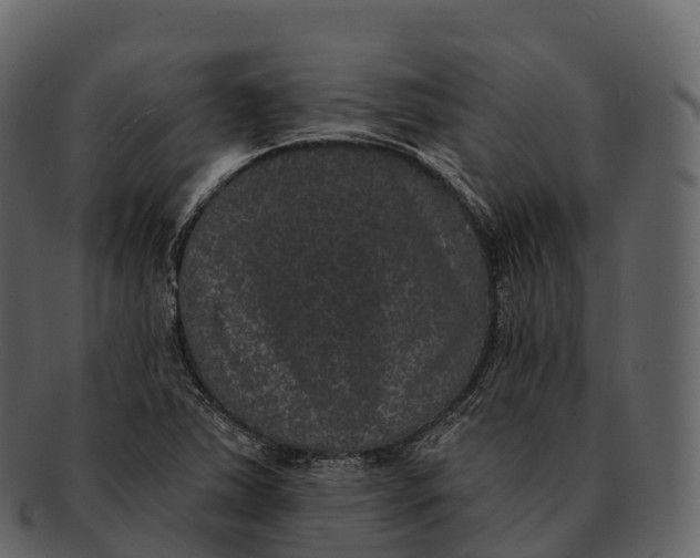 X0000092321363200710051249