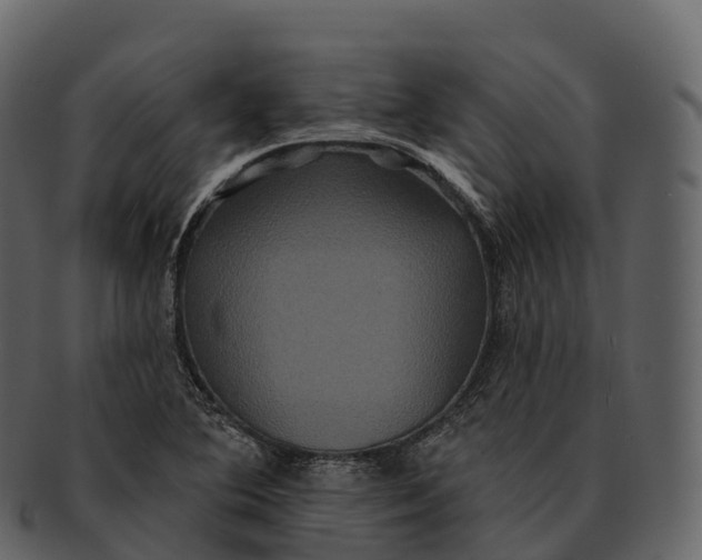 X0000092321364200710051249
