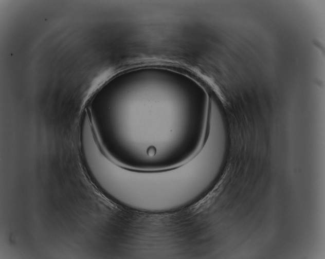 X0000092321365200710051249