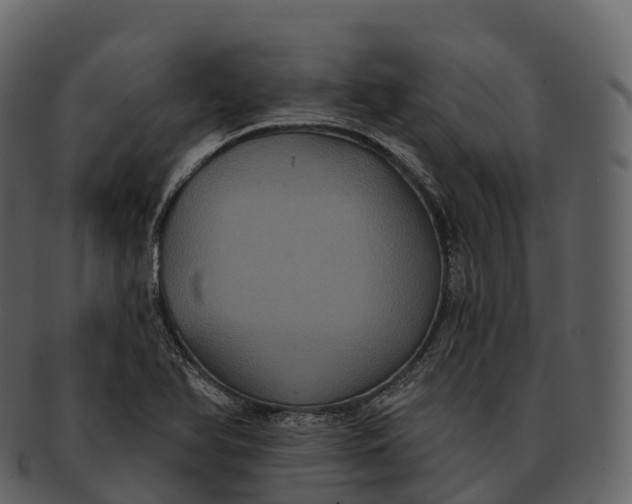 X0000092321366200710051249
