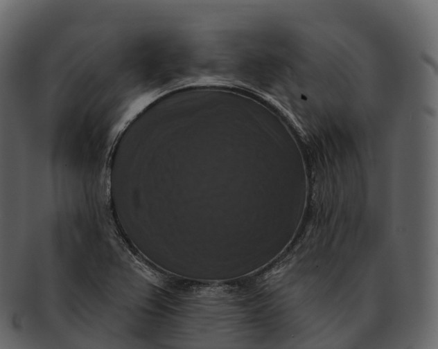 X0000092321367200710051249