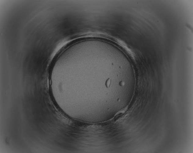 X0000092321368200710051249