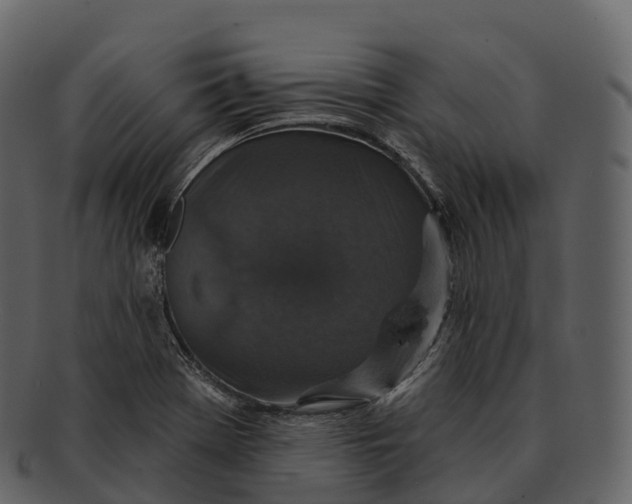 X0000092321369200710051249