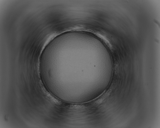 X0000092321374200710051249