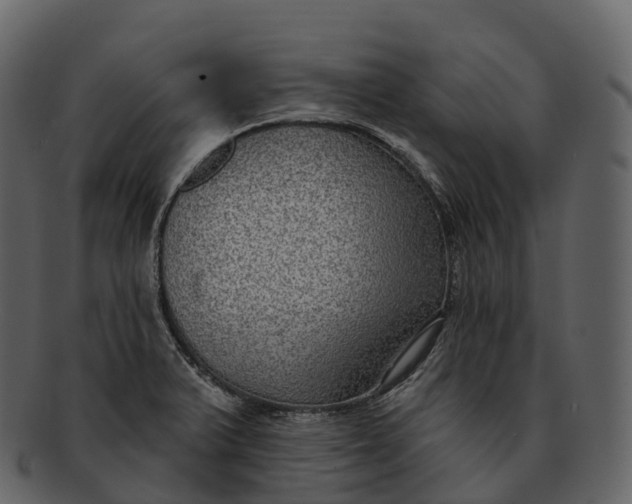 X0000092321375200710051249