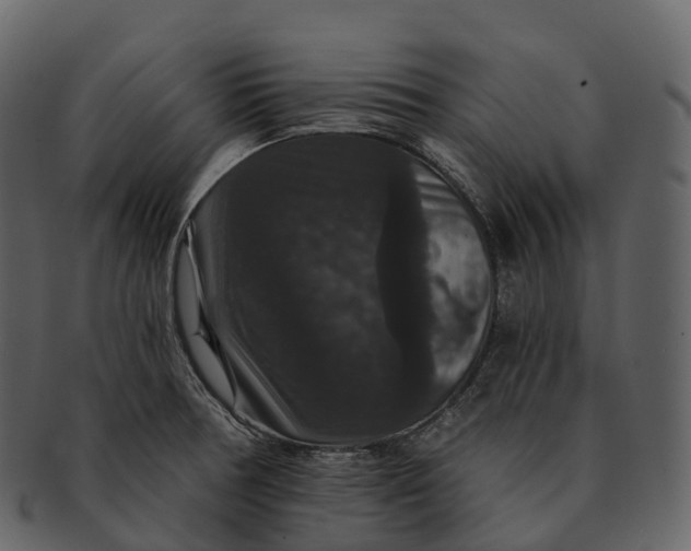 X0000092321378200710051249