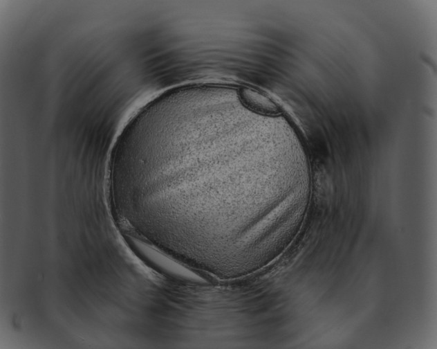 X0000092321379200710051249