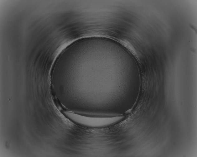 X0000092321380200710051249