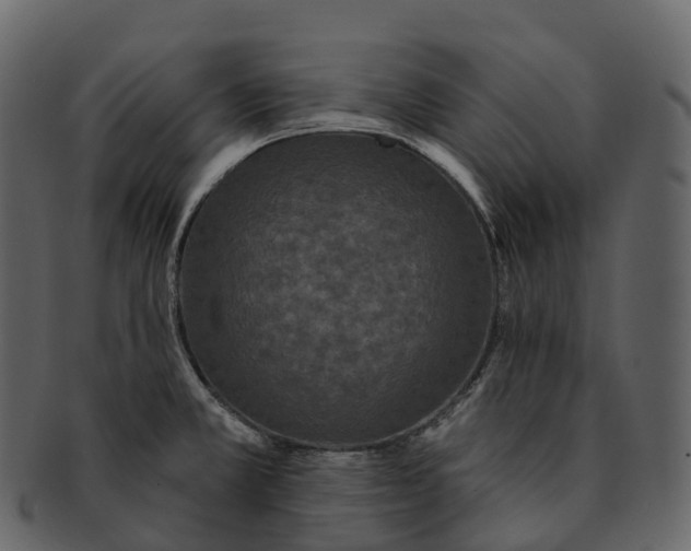 X0000092321381200710051249