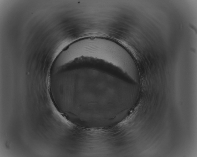 X0000092321383200710051249