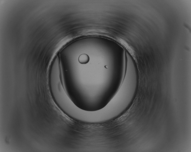 X0000092321384200710051249