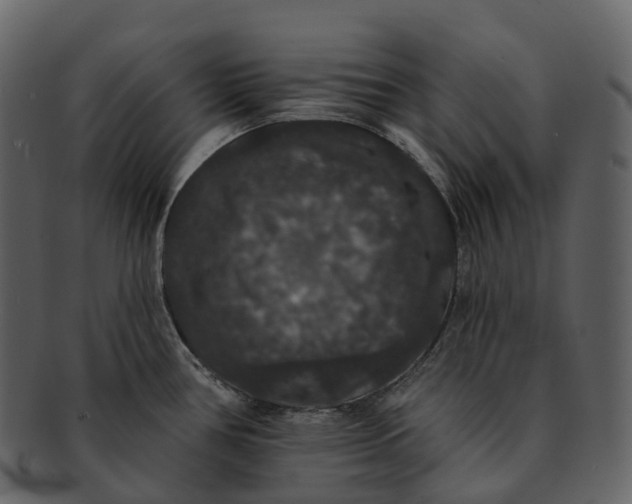 X0000092321386200710051249