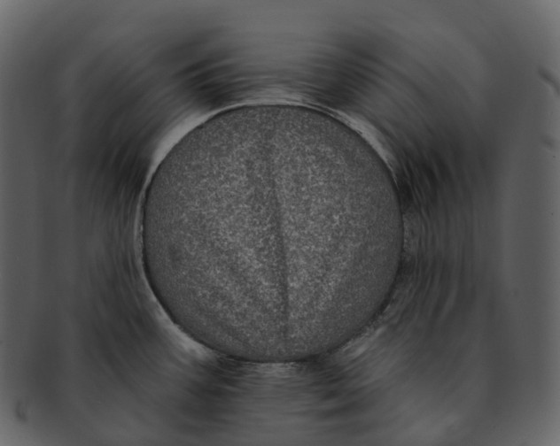 X0000092321387200710051249