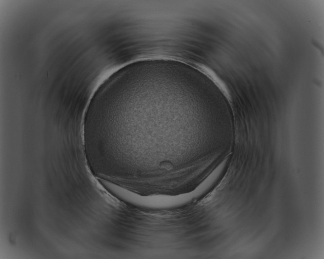 X0000092321388200710051249
