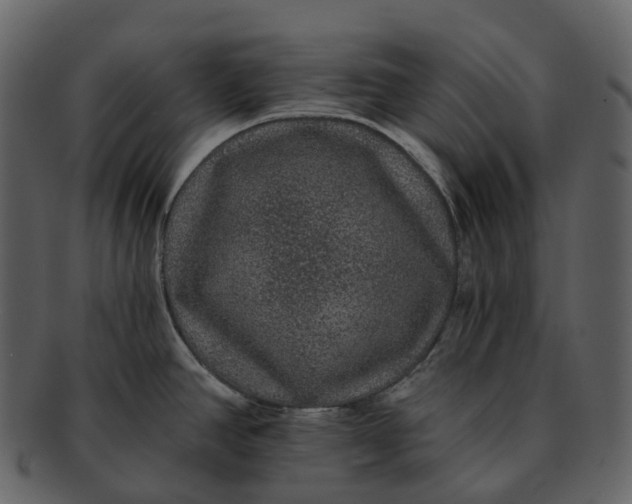 X0000092321390200710051249