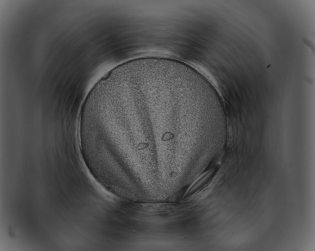 X0000092321391200710051248
