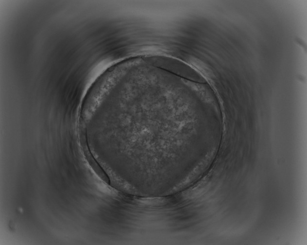 X0000092321392200710051248