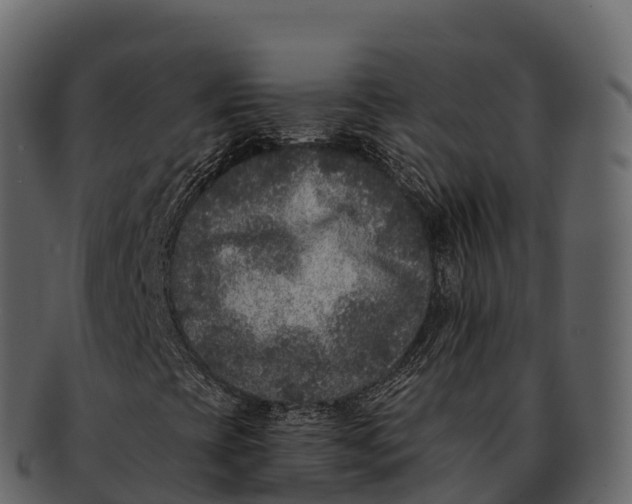 X0000092321393200710051248