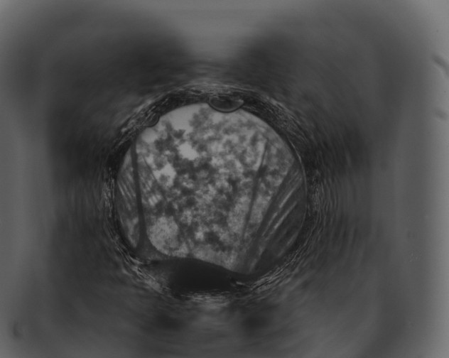 X0000092321397200710051248