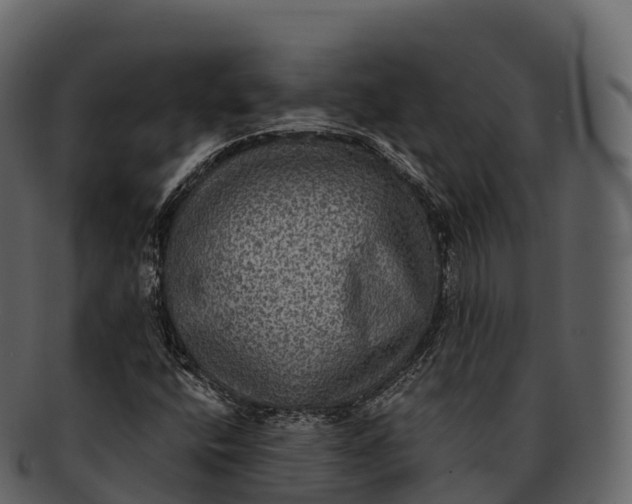 X0000092321400200710051248