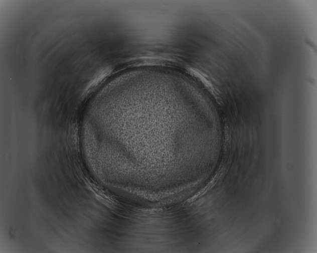X0000092321403200710051248