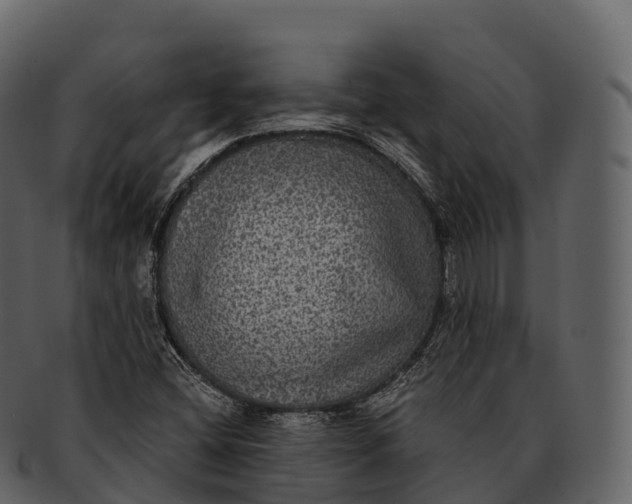 X0000092321404200710051248