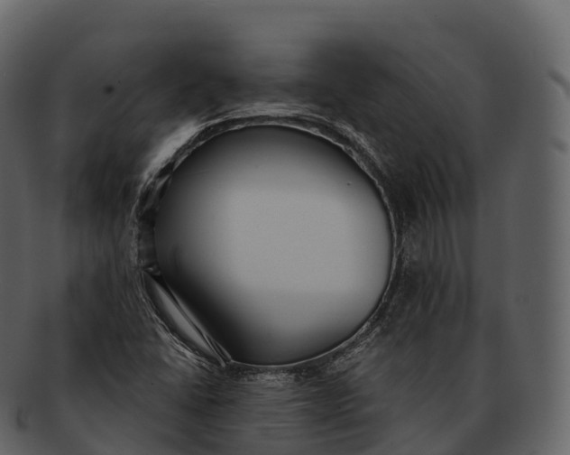 X0000092321406200710051248