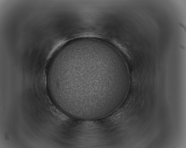 X0000092321408200710051248