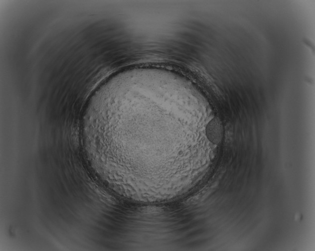 X0000092321409200710051248
