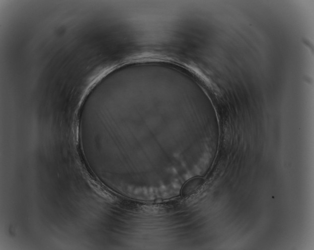 X0000092321413200710051248
