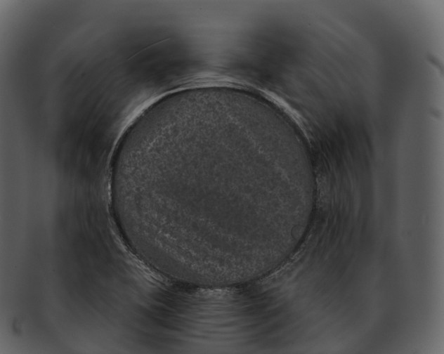 X0000092321415200710051248
